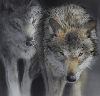 Grey wolfes -Ute Bartels-Germany.jpg